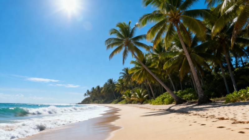 热带海滩风光图片