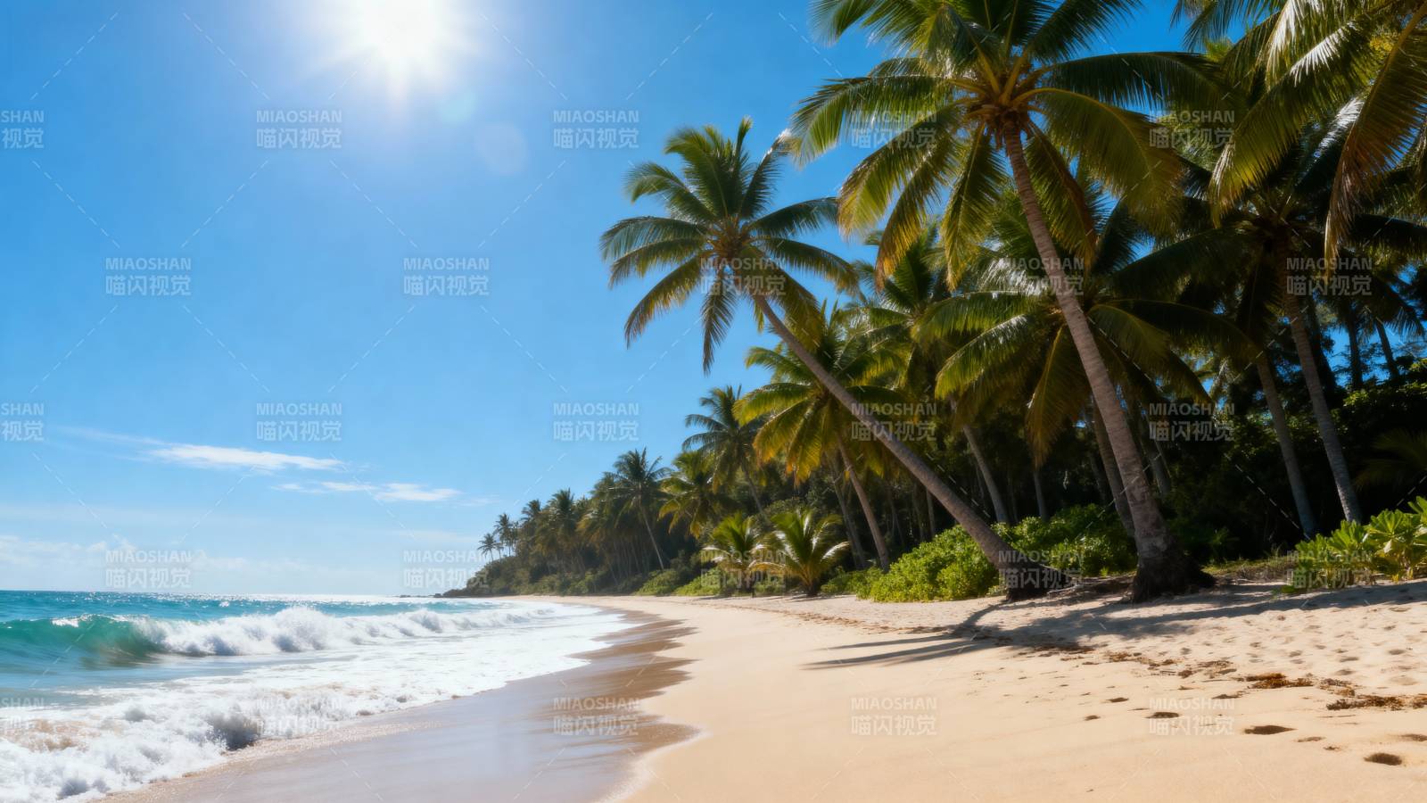 热带海滩风光图片