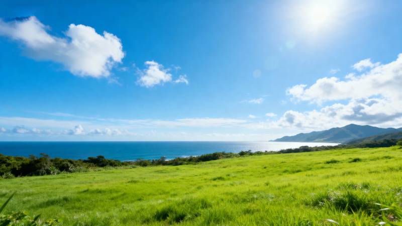 碧海蓝天绿草茵图片