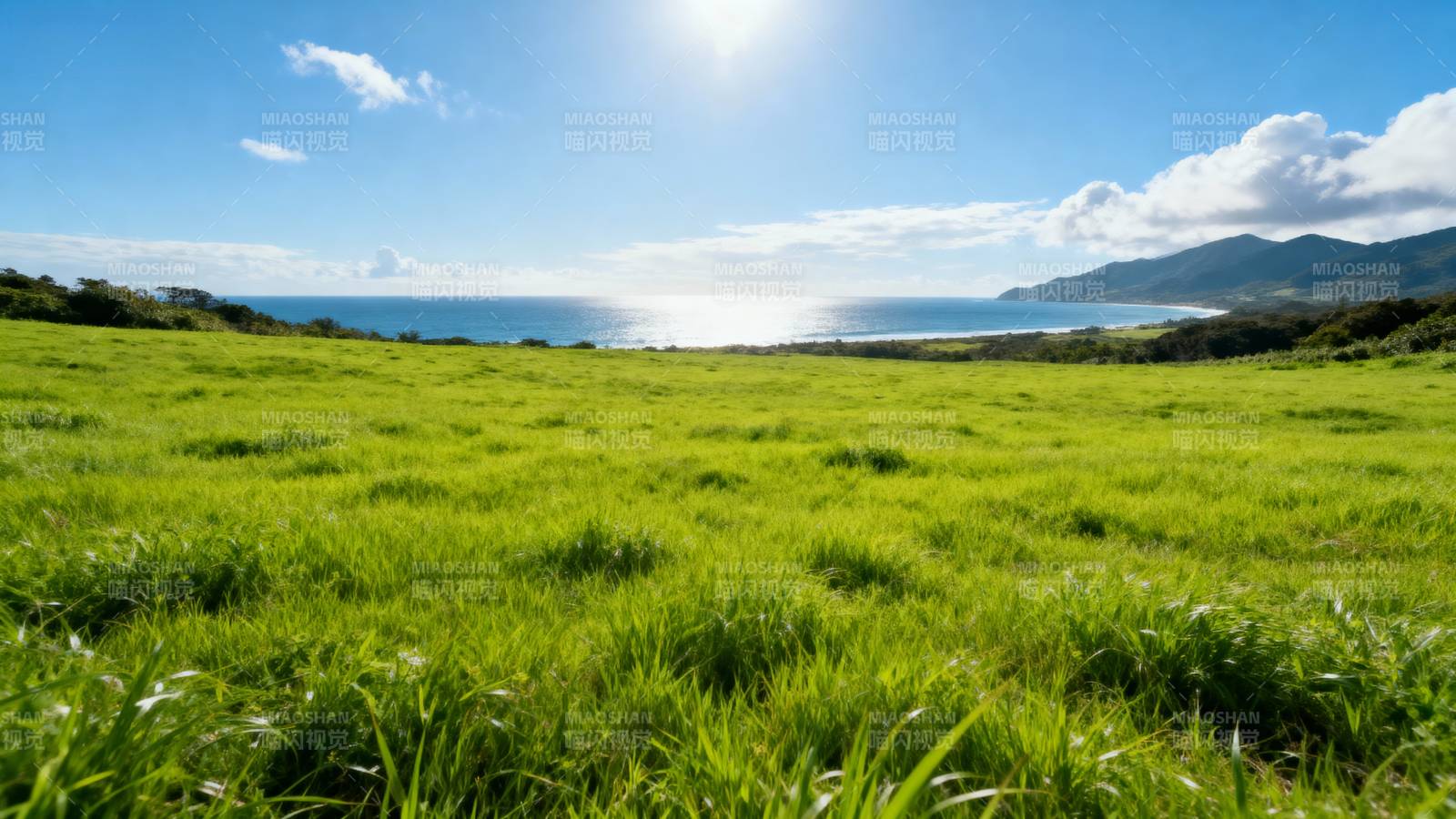 绿野海天一色图片