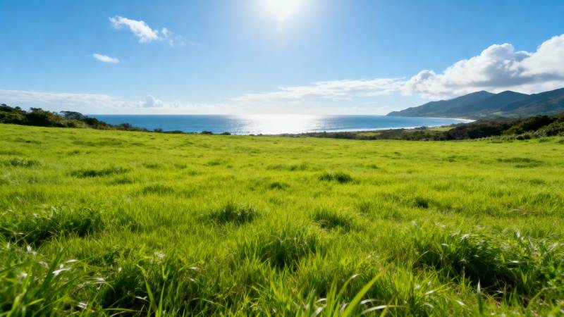 绿野海天一色图片