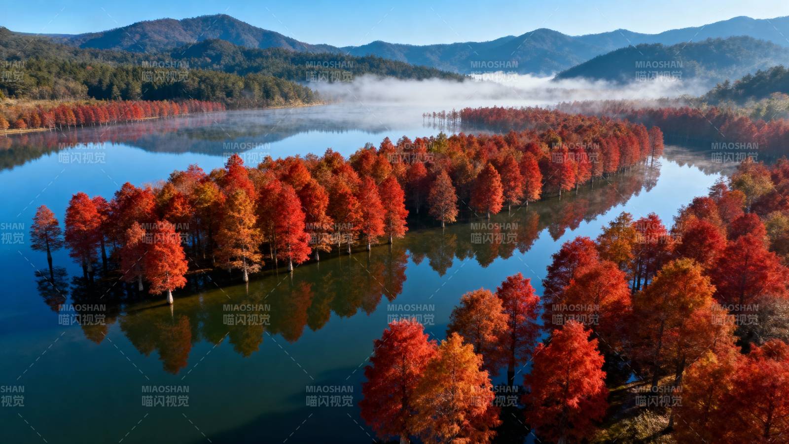 秋湖红林倒影图片