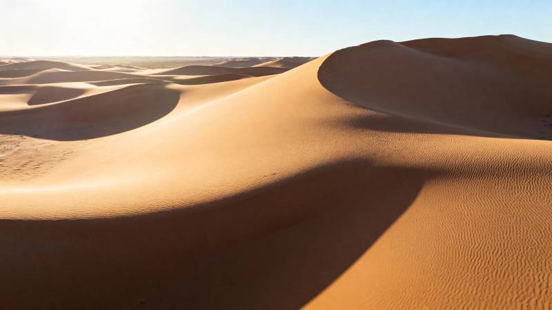 沙漠沙丘晨光图片