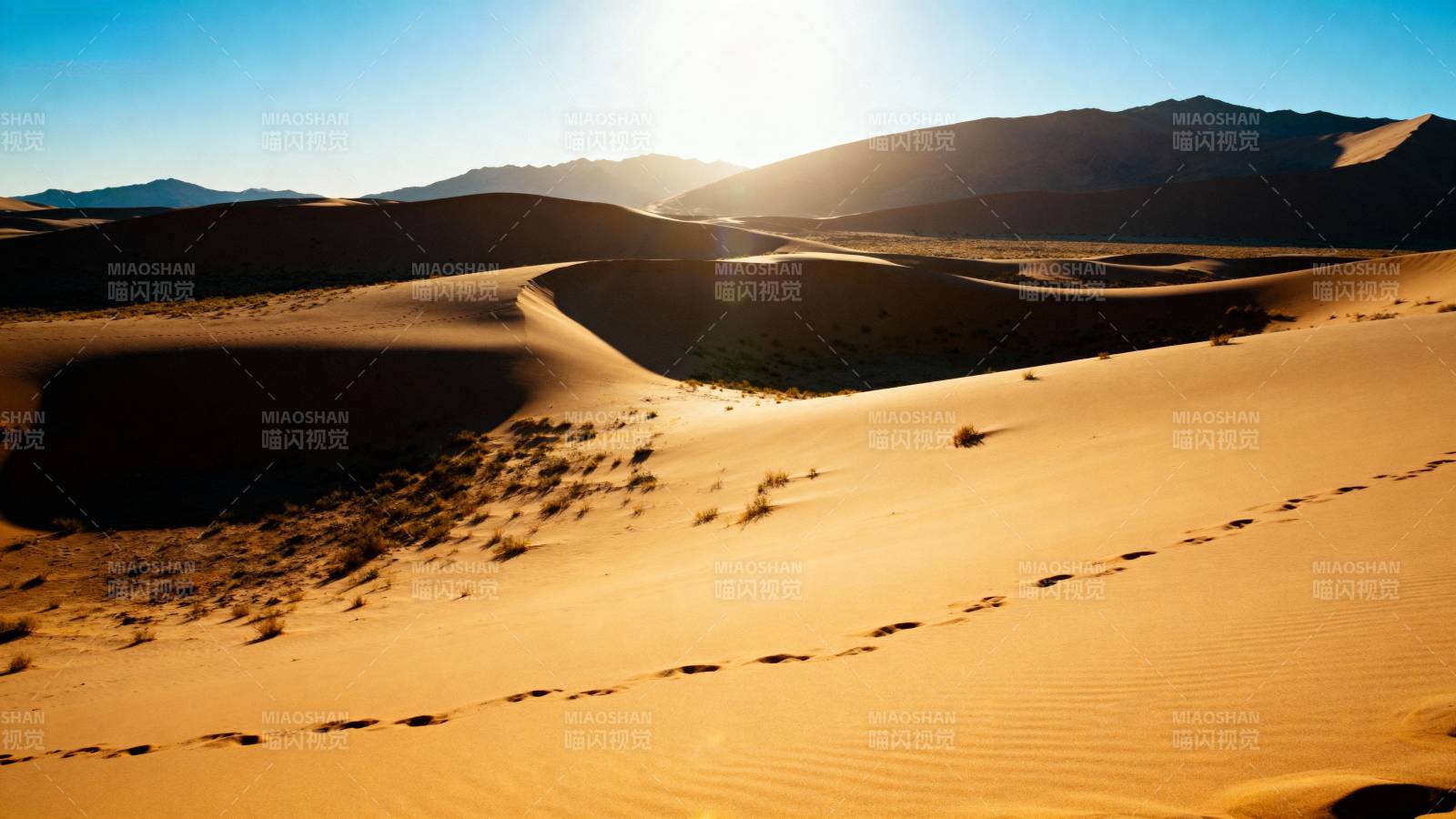 沙漠日出美景图片