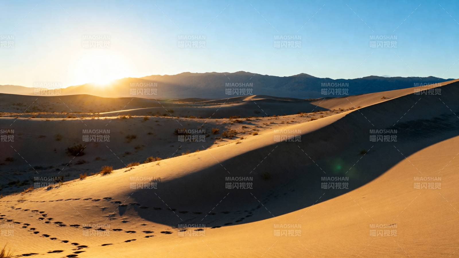 沙漠日出美景图片