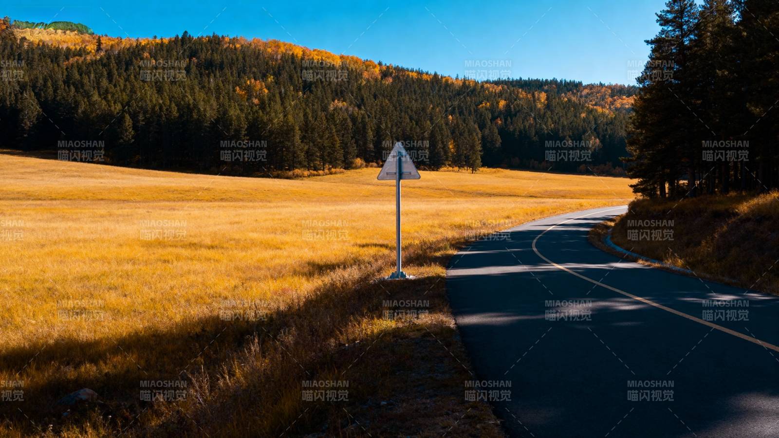 秋日山野公路图片