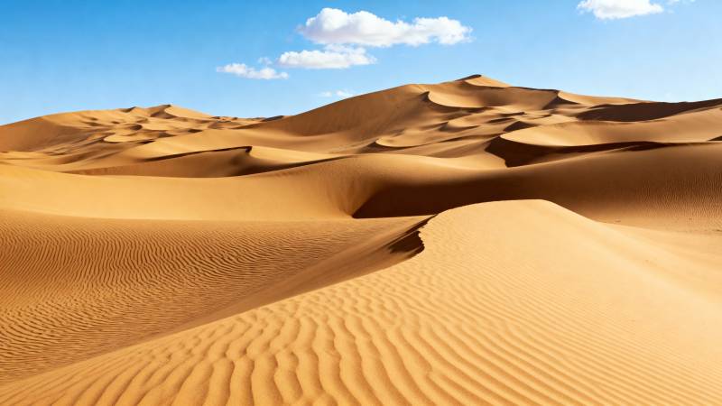 金色沙丘连绵起伏图片