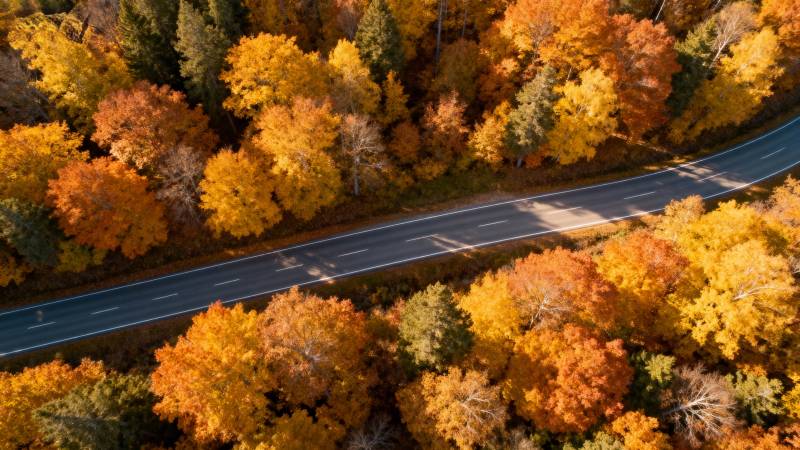 秋林公路美景图片