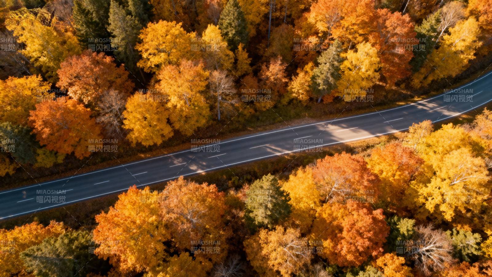 秋林公路美景图片