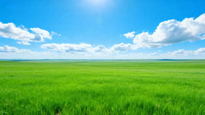 绿野蓝天图片