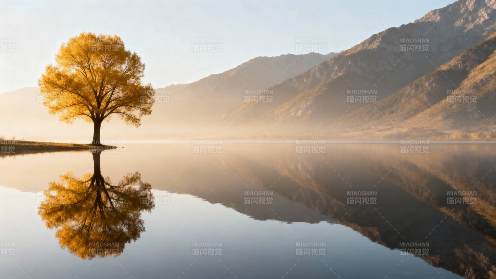 秋树映湖山图片