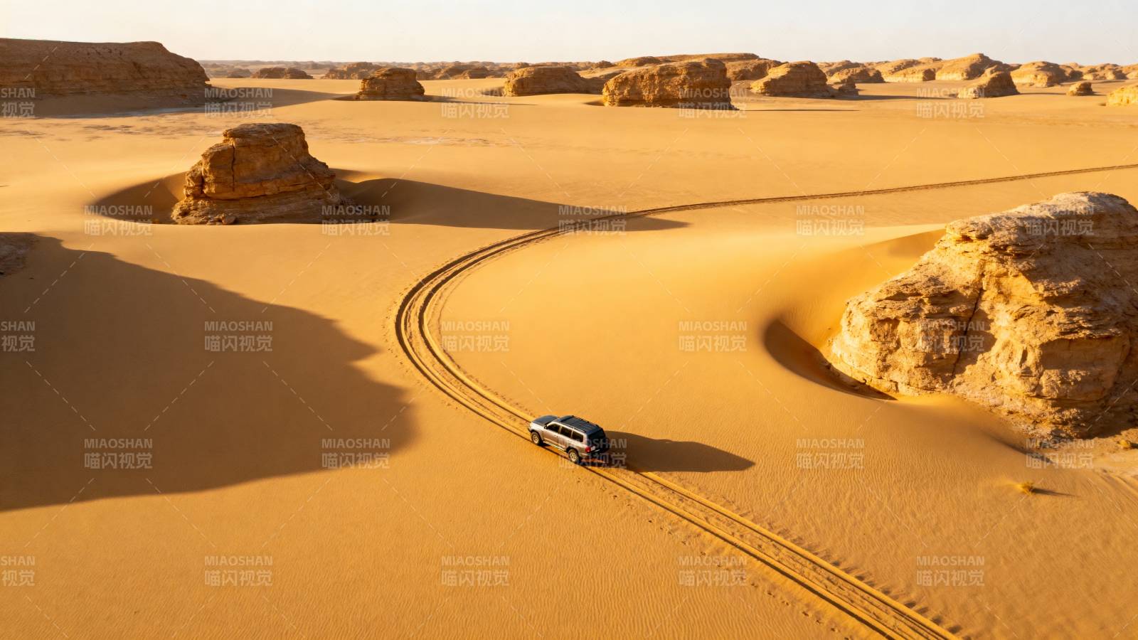沙漠驰骋 车影蜿蜒图片