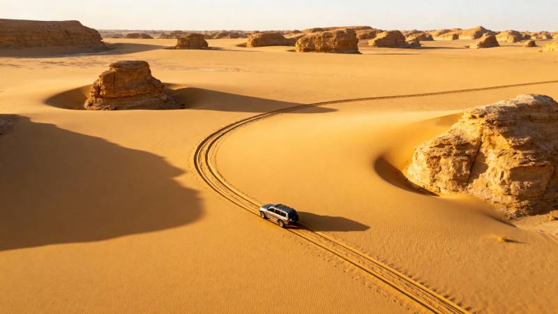 沙漠驰骋 车影蜿蜒图片