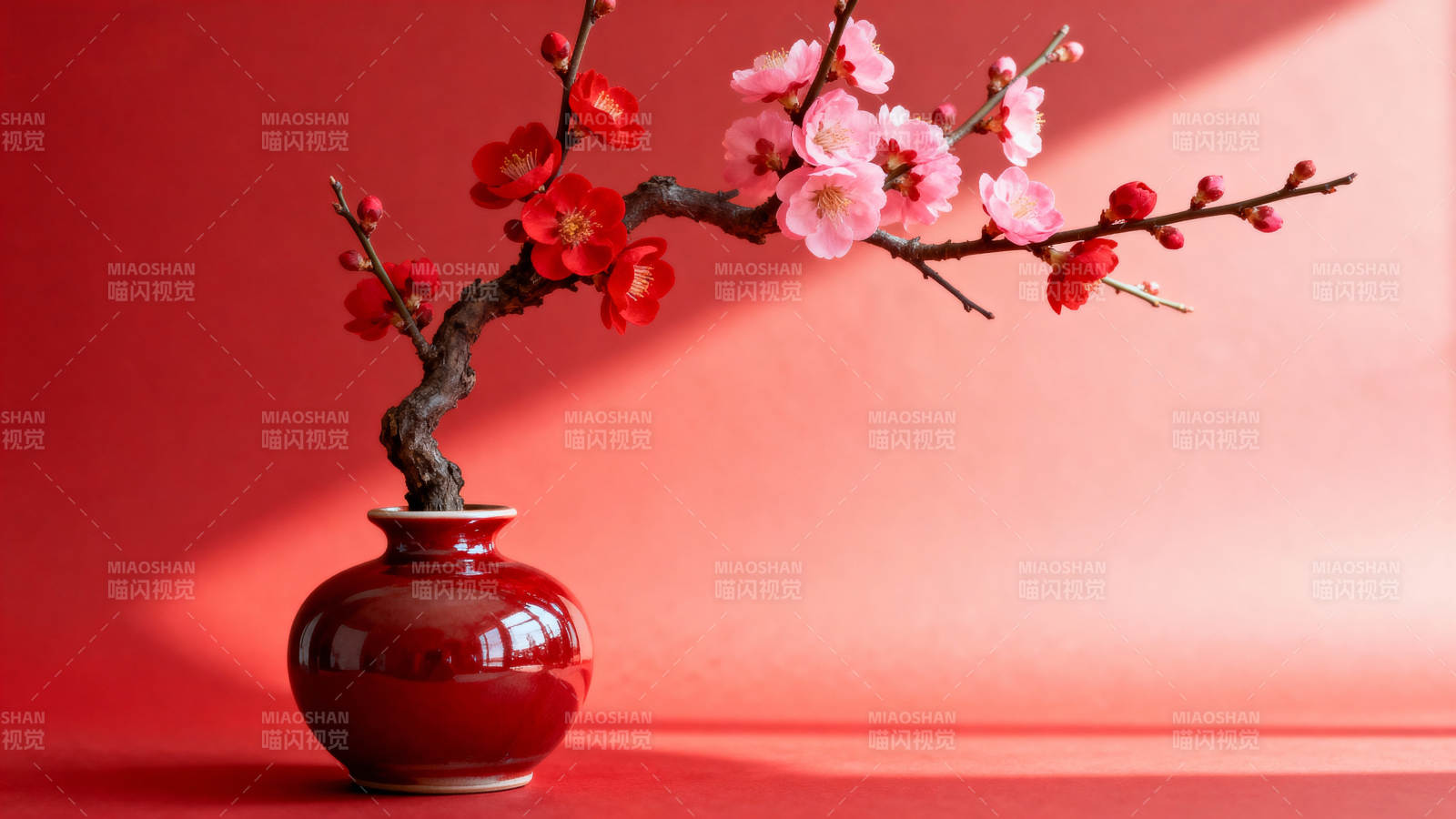 红梅绽放春意浓图片