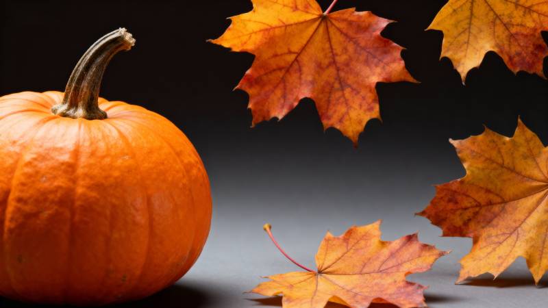 秋日南瓜与落叶图片