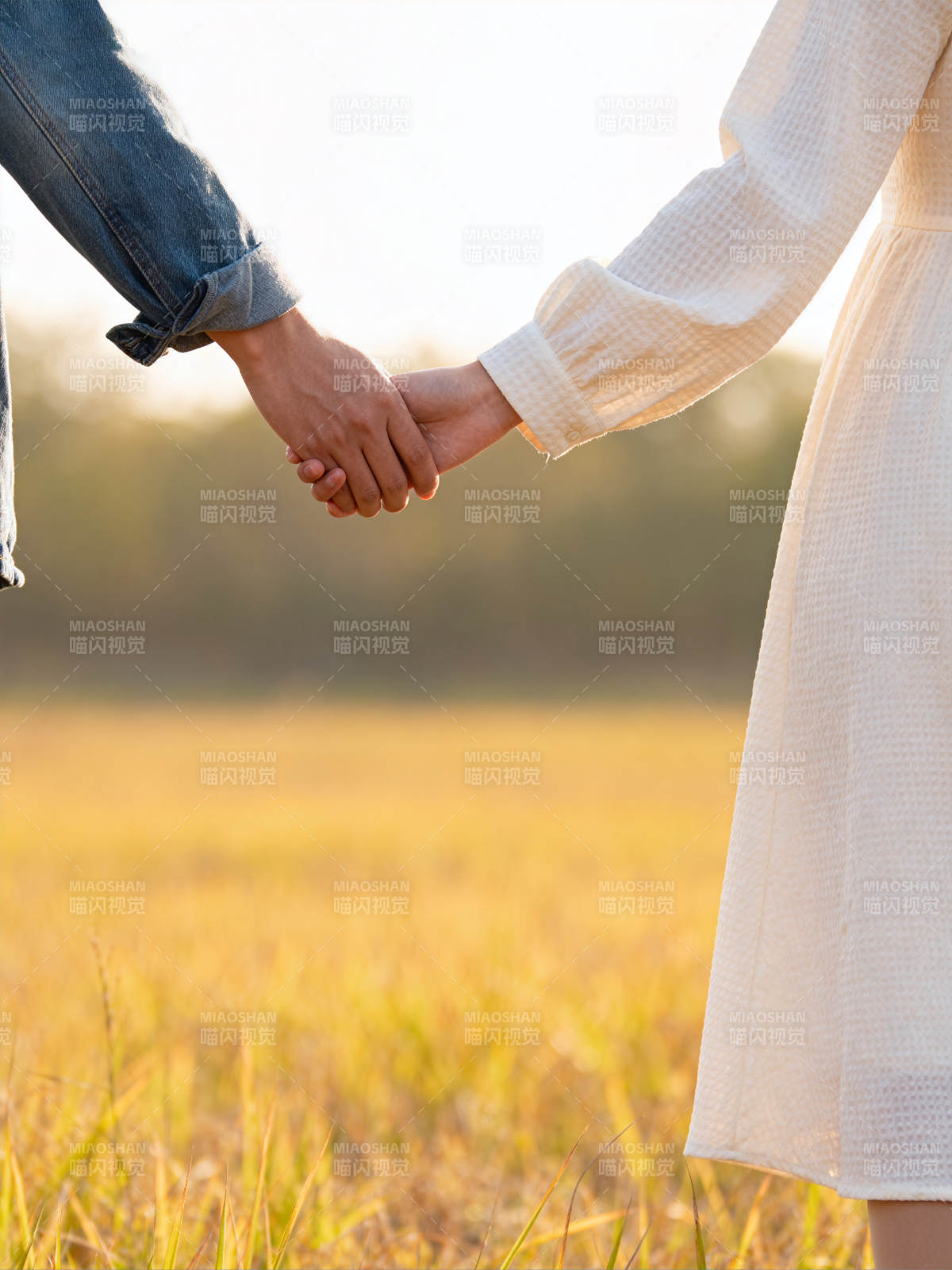 牵手同行 温暖相伴图片