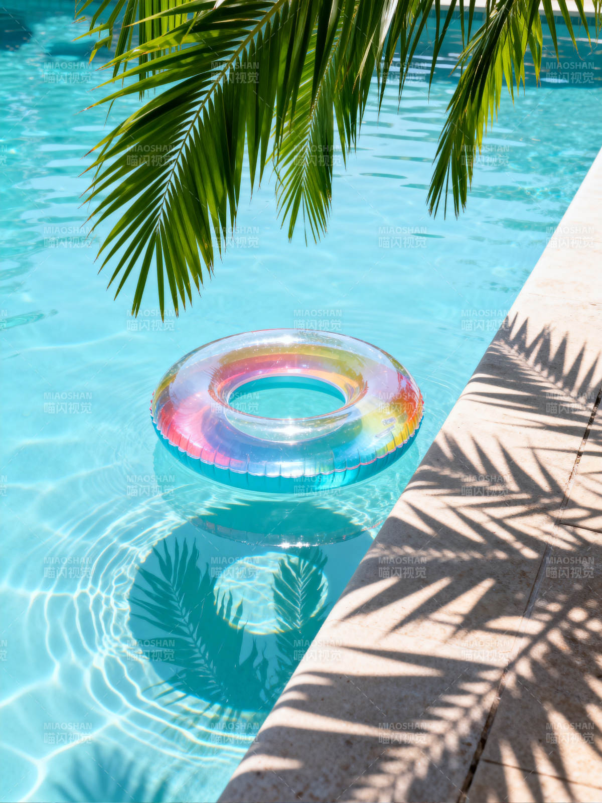 泳池彩虹圈图片