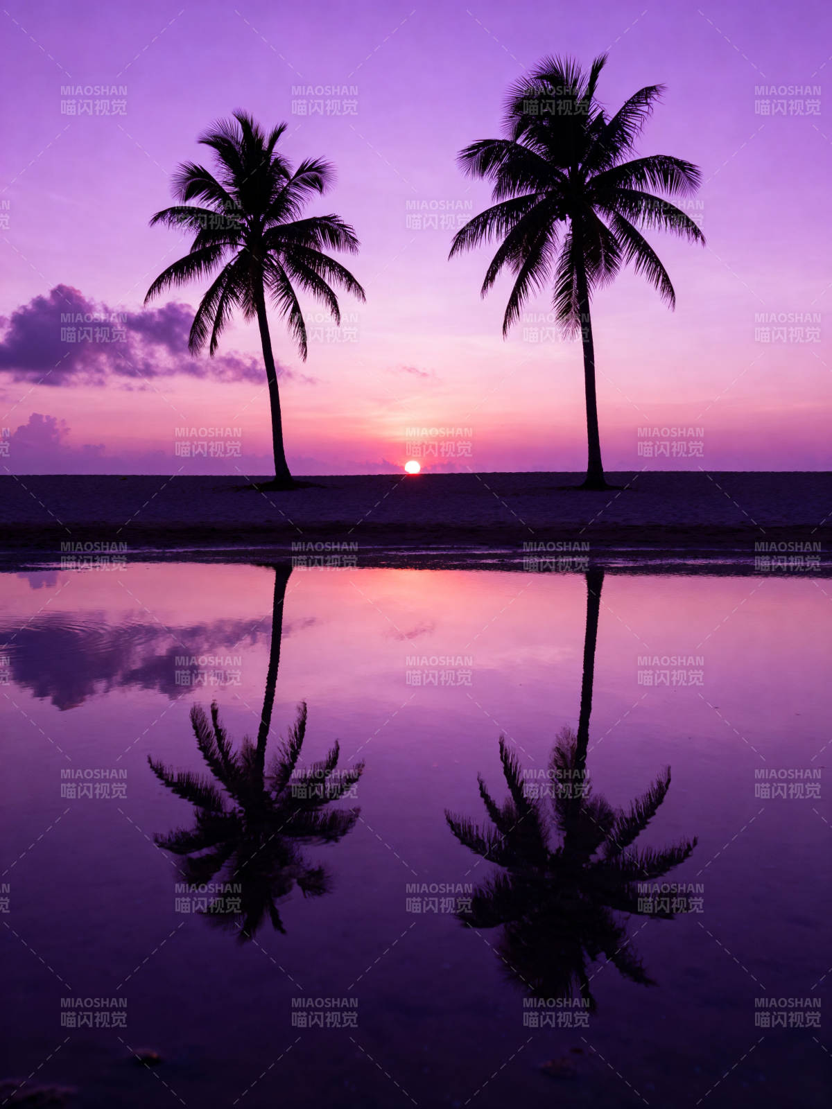 椰影夕照图片