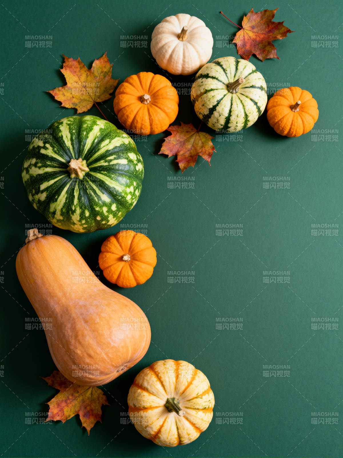 秋日南瓜与落叶图片