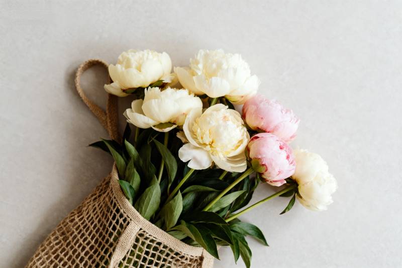 花束与麻袋的静谧美图片