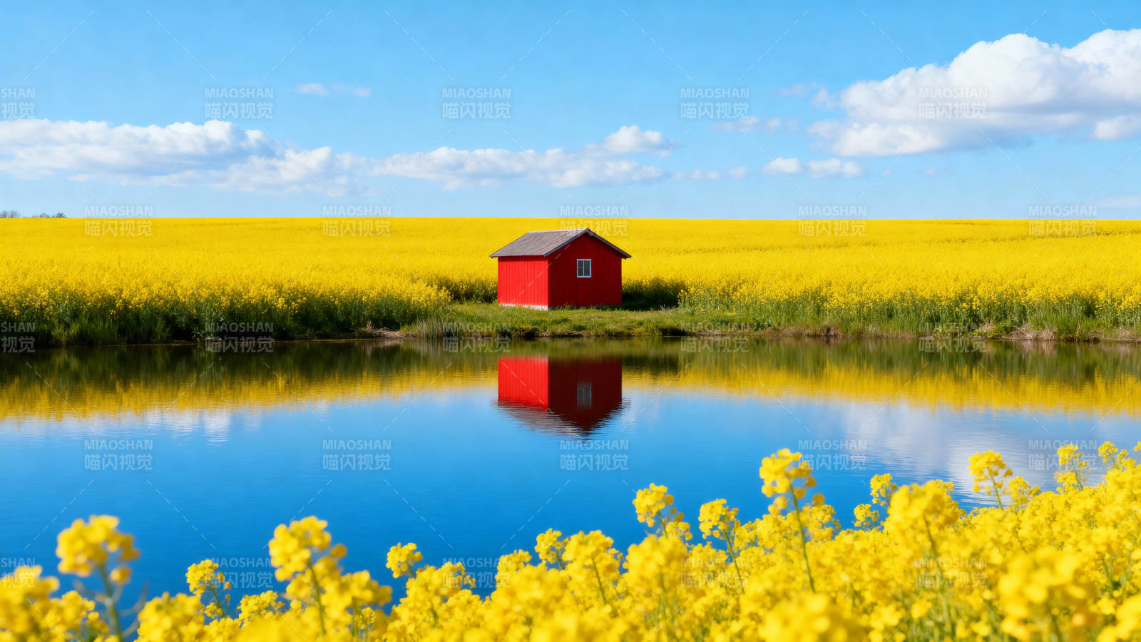 红屋黄花映碧水图片