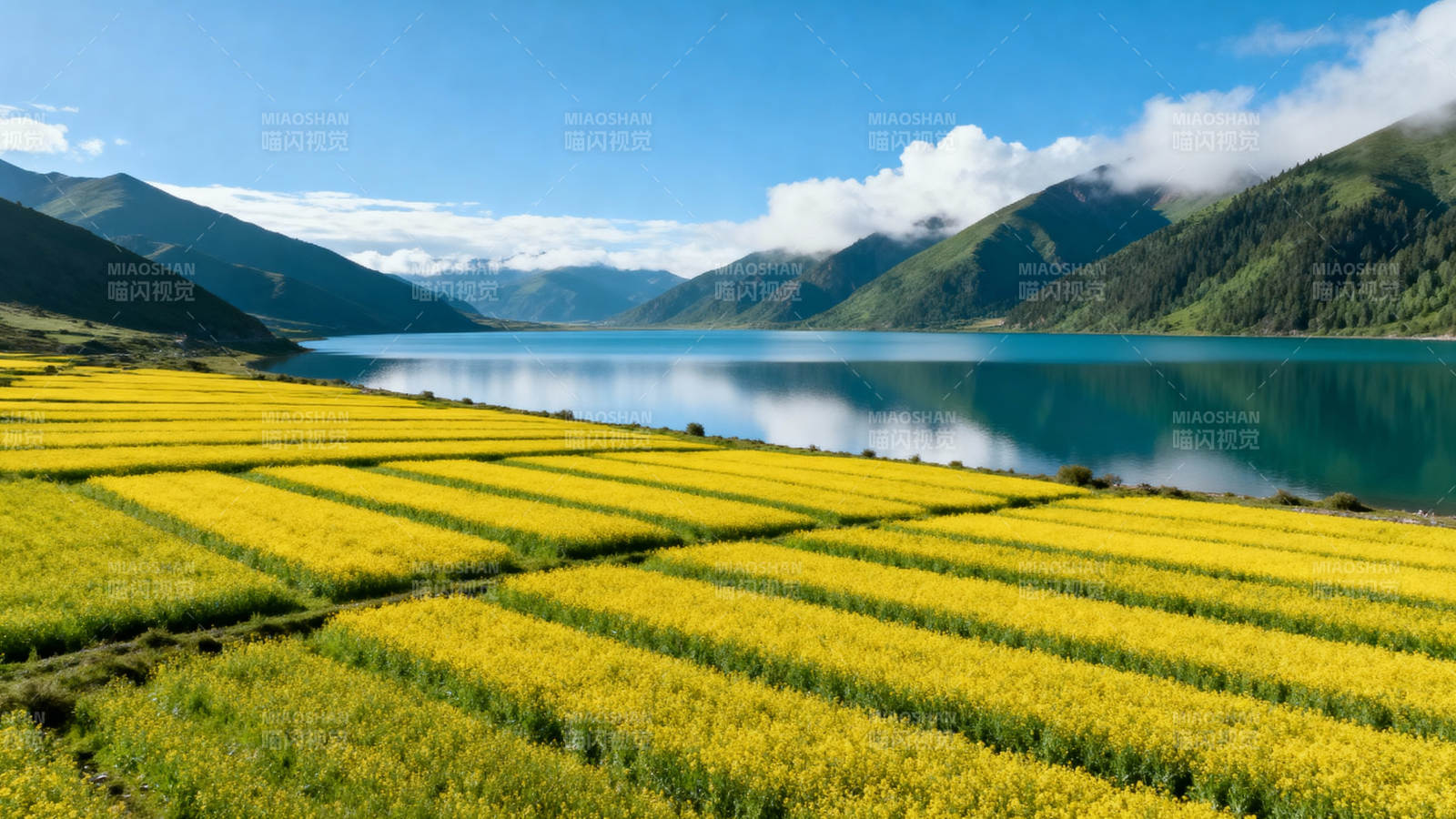 金田映湖山图片