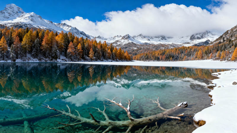 雪山湖景秋色图片