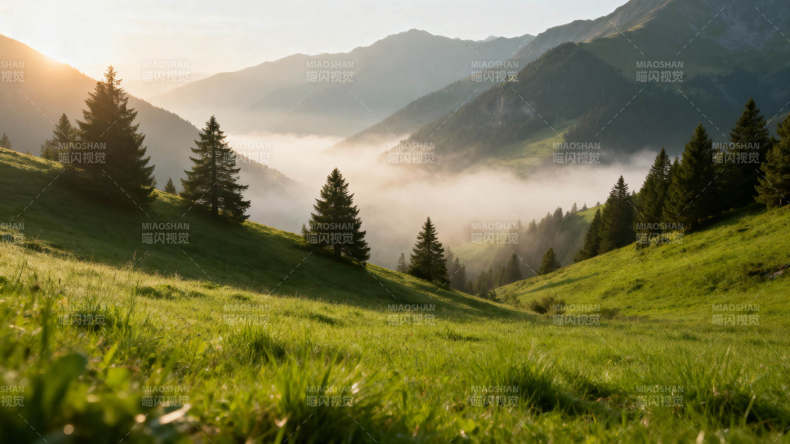 晨雾山间绿野图片