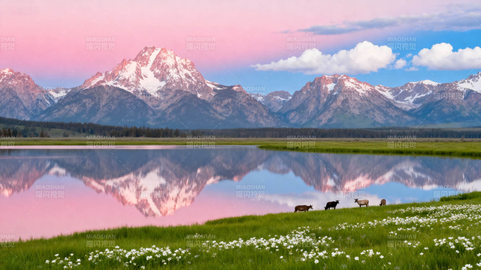 雪山倒影湖畔花海图片