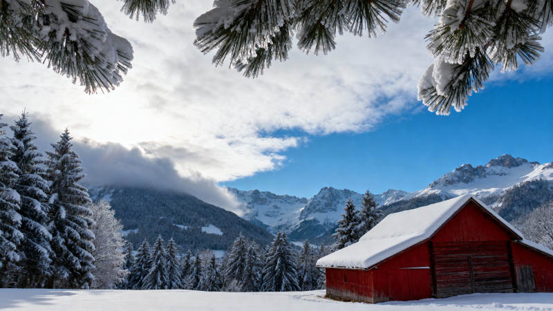 雪景中的红屋图片