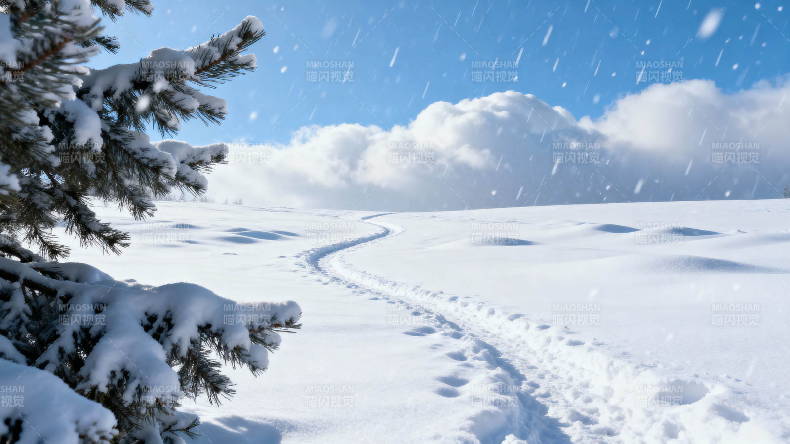 雪原足迹图片