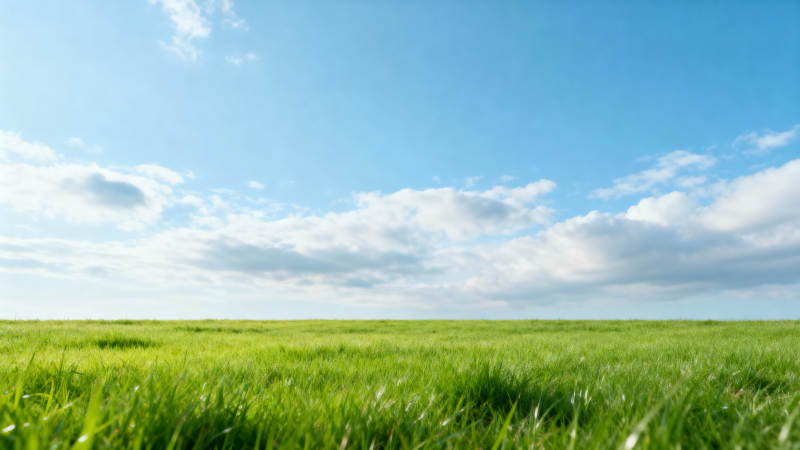 绿野蓝天图片