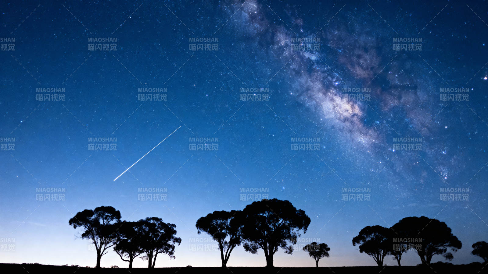 星河下的树影图片