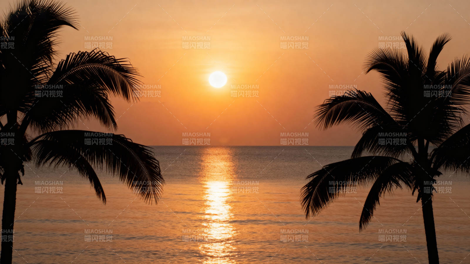 椰影夕阳海图片