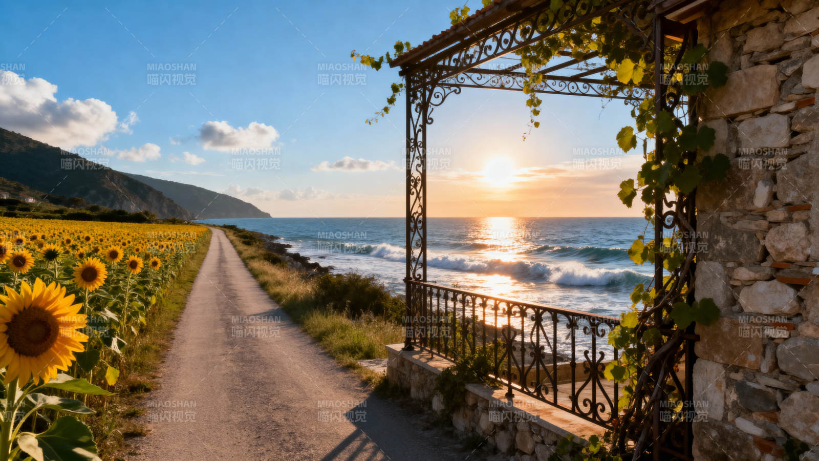 向日葵与海景日落图片