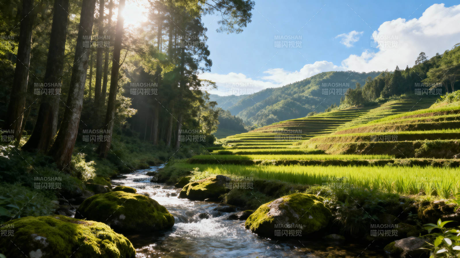 山间溪流梯田美景图片