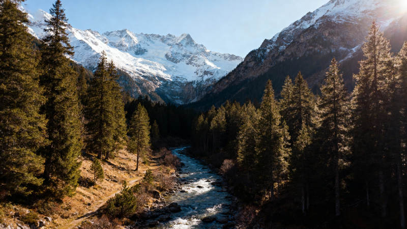 雪山溪流林间景图片