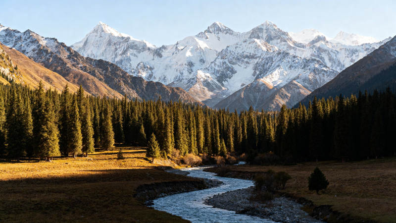 雪山溪流森林美景图片