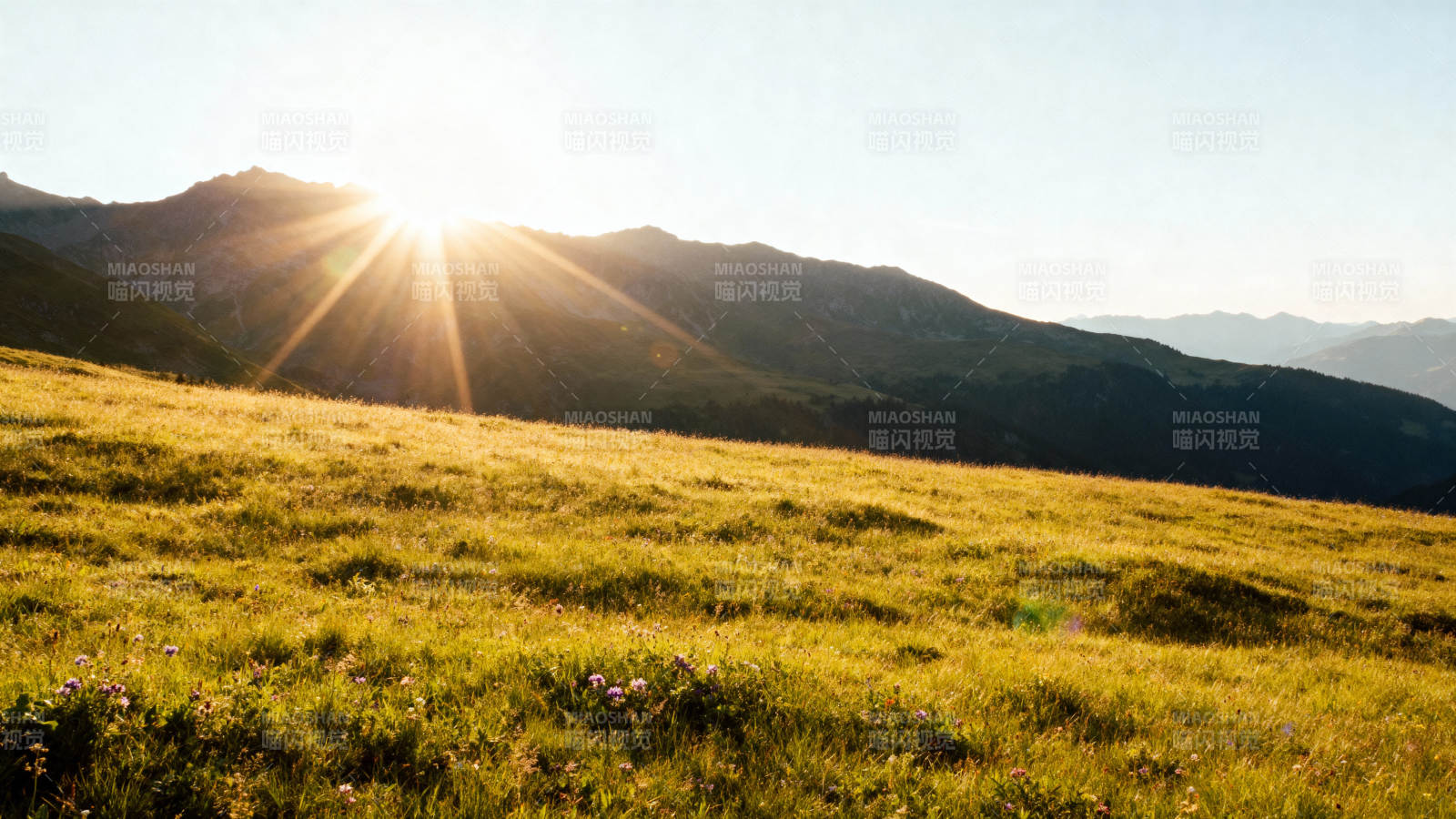 金色草原日出图片