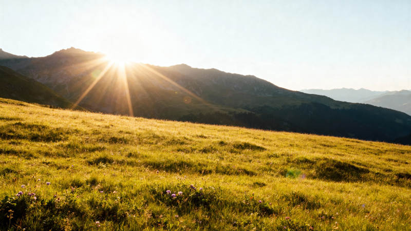 金色草原日出图片