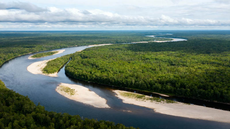 蜿蜒河流穿林海图片