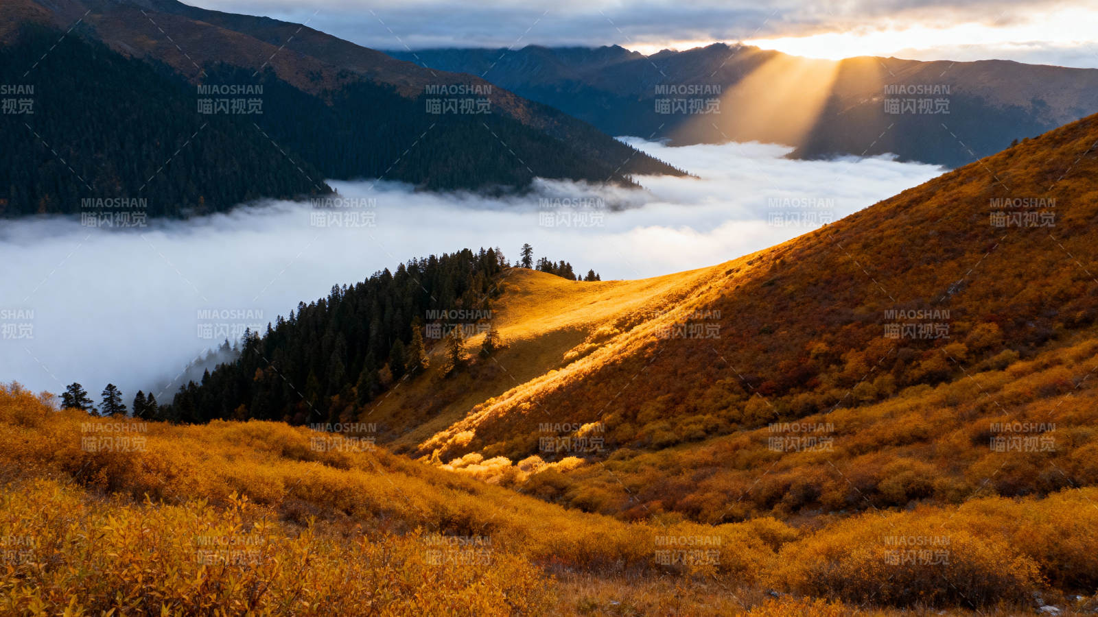晨曦山间云海图片