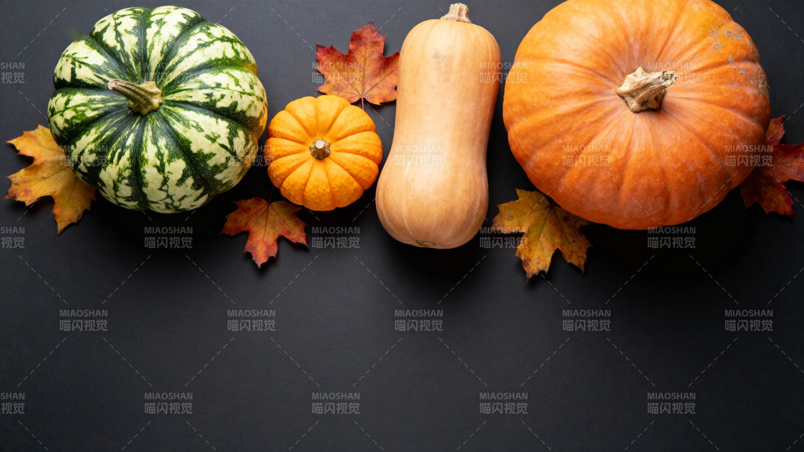 秋日南瓜静物图片