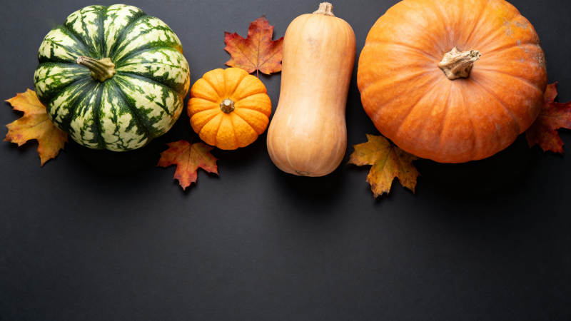 秋日南瓜静物图片