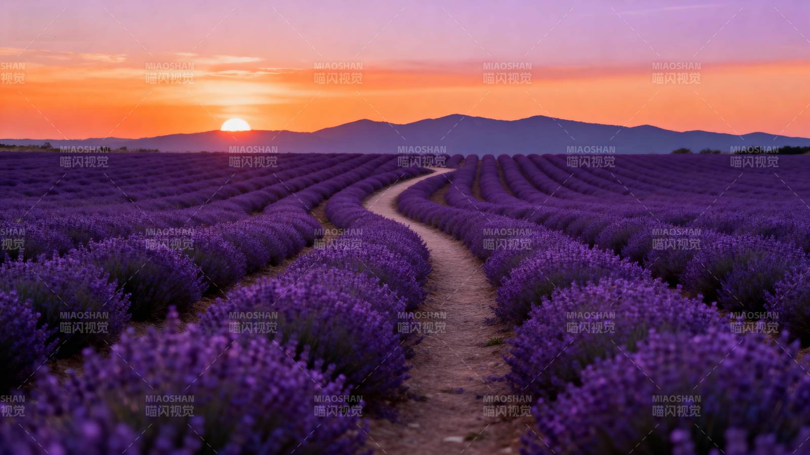 薰衣草田日落图片