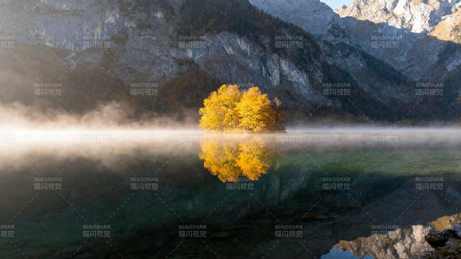 秋湖孤树映山影图片