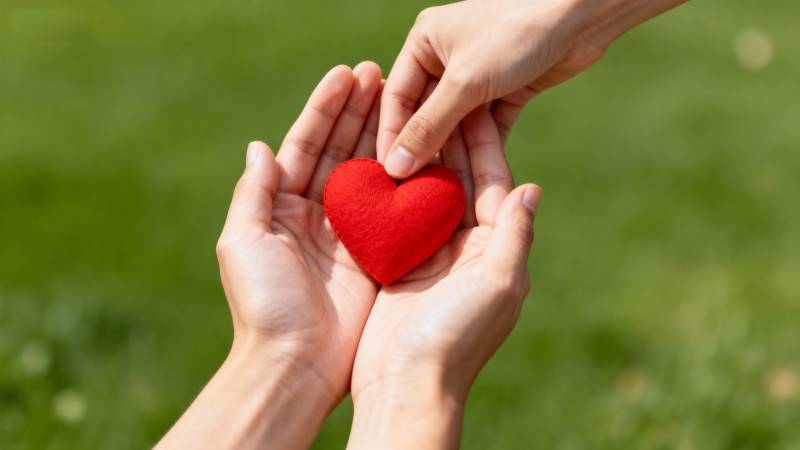 双手捧红心图片