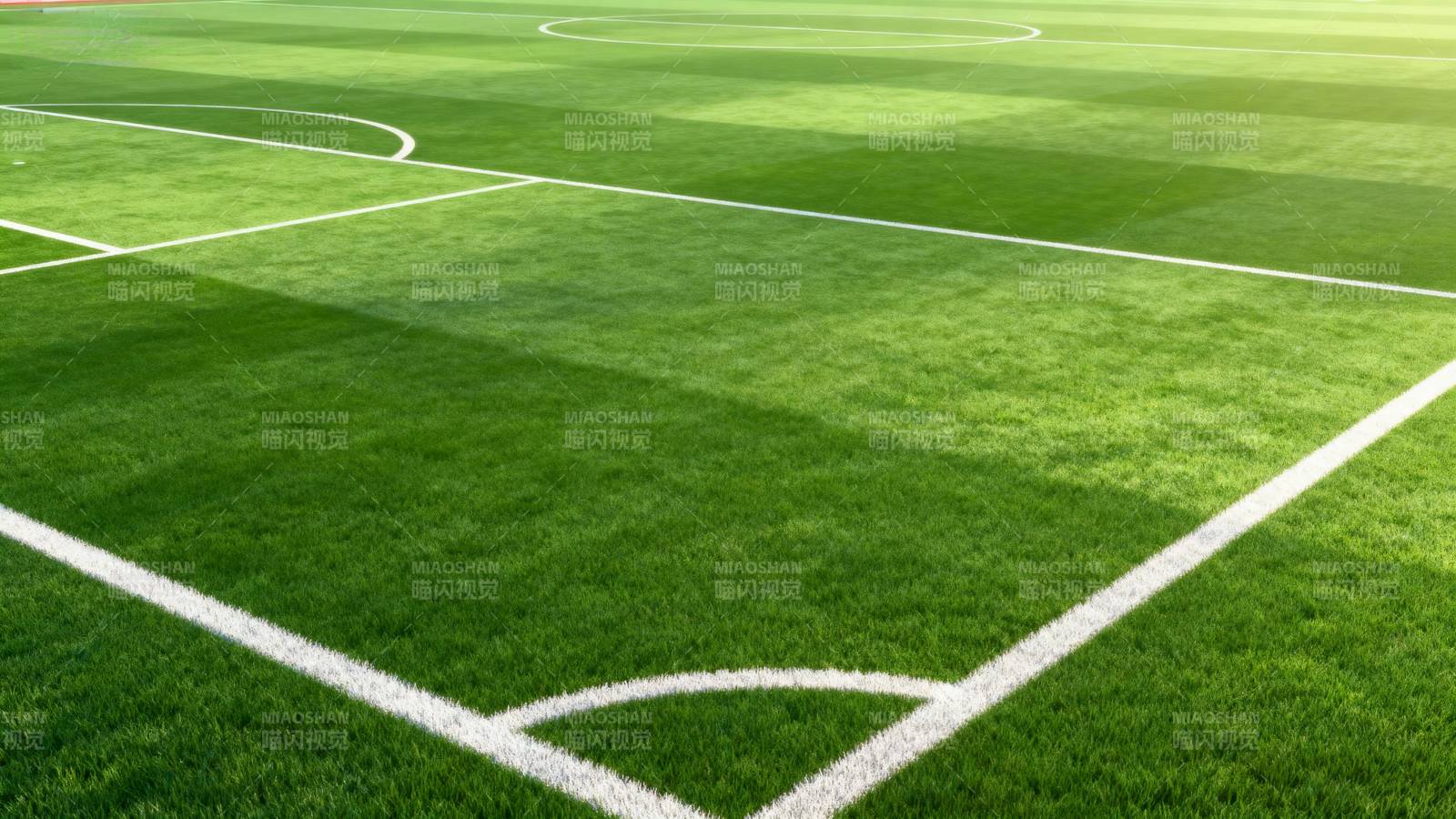 绿茵足球场图片