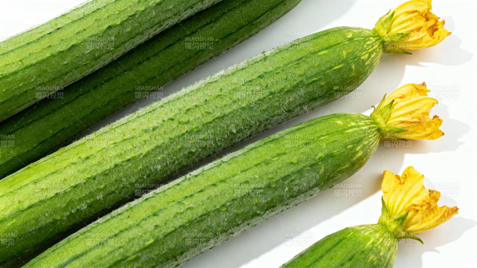 新鲜带花黄瓜图片