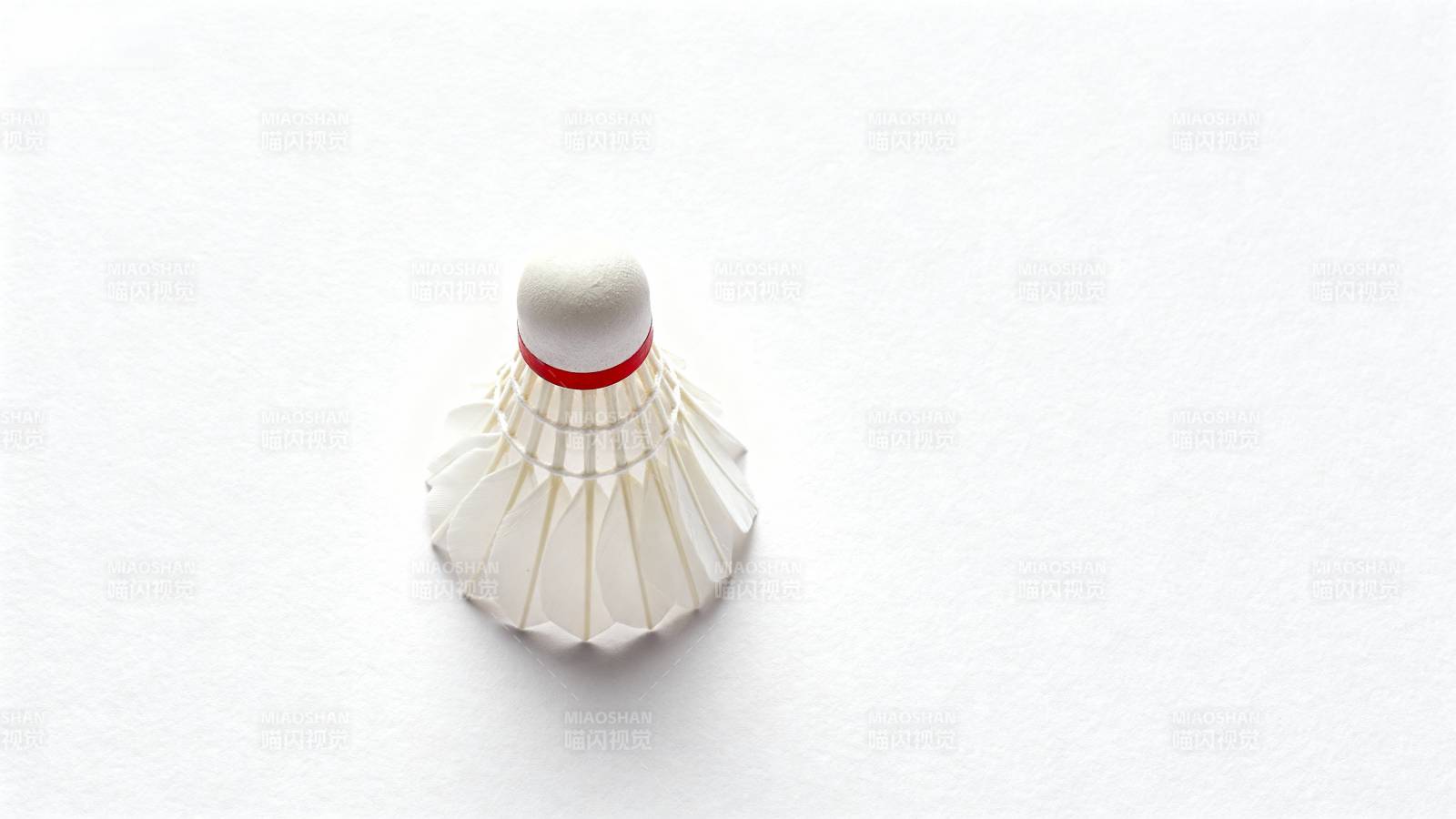 羽毛球特写图片